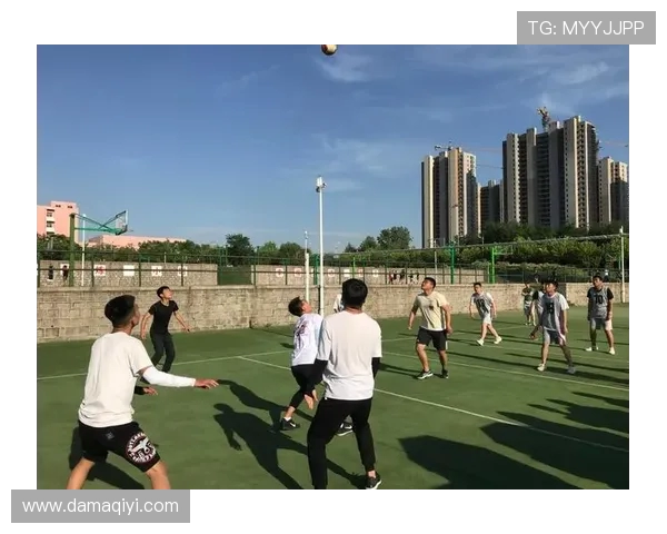 成都网球队展现卓越团队协作精神助力联赛佳绩分析