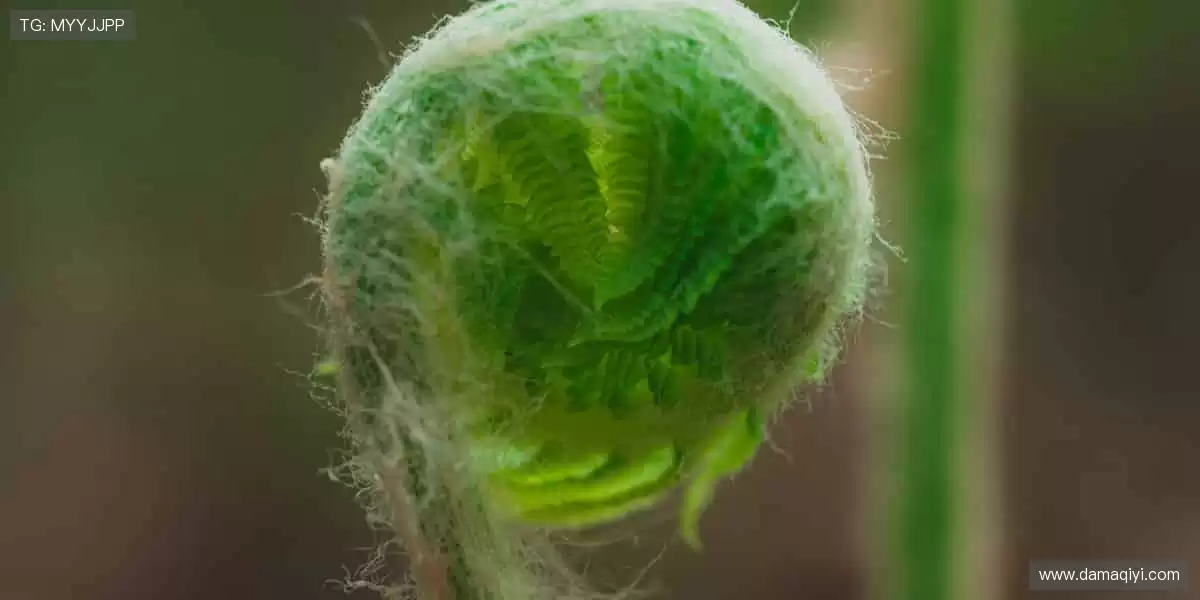 🏀装备升级,战力全开!专业品质,助力每一次突破🚀